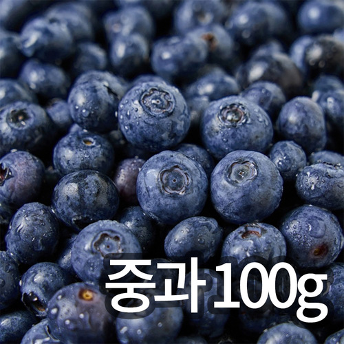 [청년과수원] 국내산 햇 블루베리 중과 100g