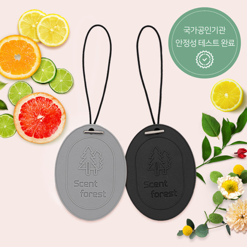 센트포레스트 퍼퓸 고체형 방향제 30g