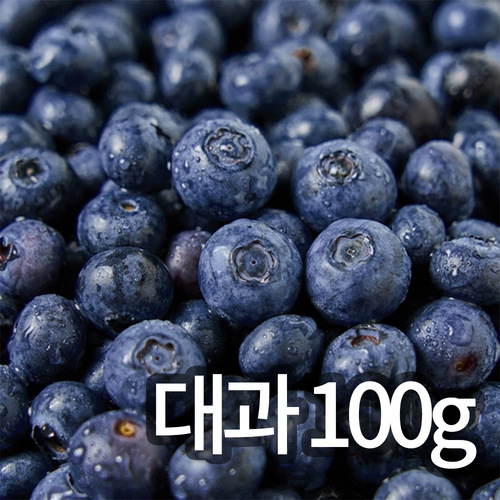 [청년과수원] 국내산 햇 블루베리 대과 100g