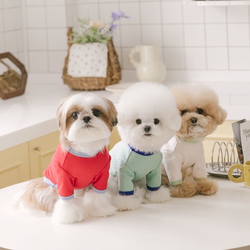 펫츠랜드 큐티라벨티셔츠 강아지옷