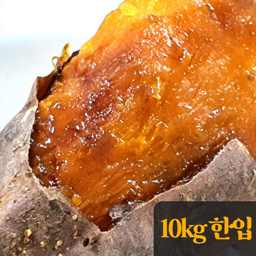 25년산 세척 호박고구마 10kg(한입)