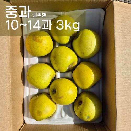산지직송! 시나노골드 황금사과 중과 10-14과 3kg / 실속형