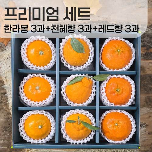 [선물세트]한라봉3+천혜향3+레드향3