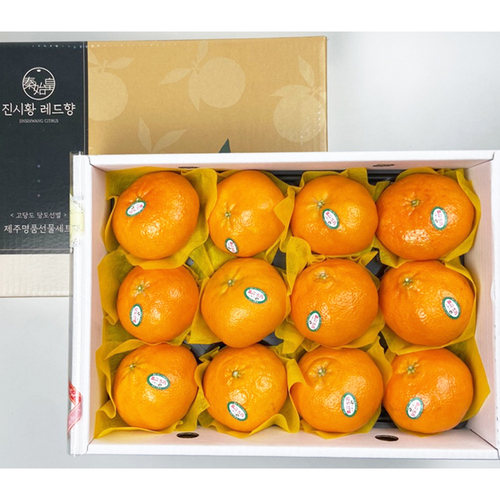 푸드삼대장 제주 레드향 3kg 8~14과내외 선물포장