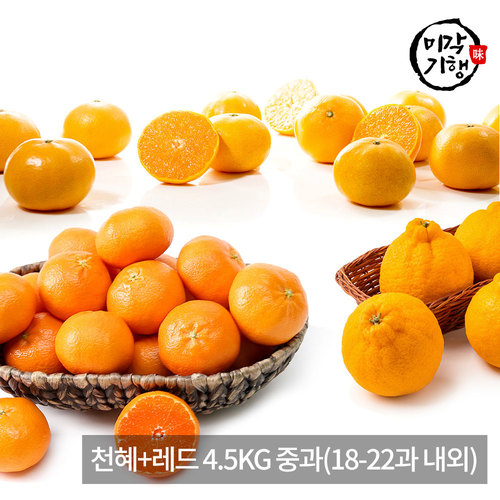[미각기행] 제주 가정용 천혜+레드 4.5KG 중과(18-22과 내외)