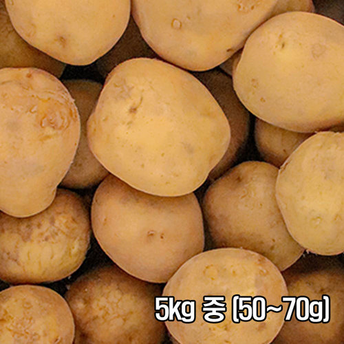 포슬한 맛이 일품인 26년 두백감자 5kg 중 (50~70g)