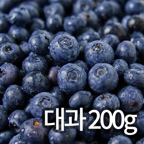 [청년과수원] 국내산 햇 블루베리 대과 200g