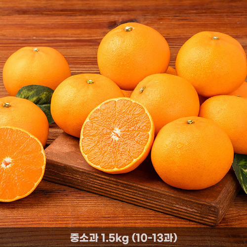 [청년농가] 제주직송 새콤달콤 천혜향(가정용) 중소과 1.5kg(10-13과)