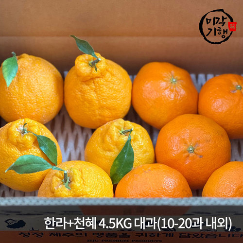 [미각기행] 제주 가정용 한라+천혜 4.5KG 대과(10-20과 내외)