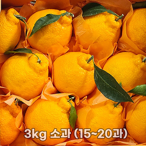 제주직송 한라봉 실중량 2.5kg (선물세트 부직포가방) 소과 (15~20과)