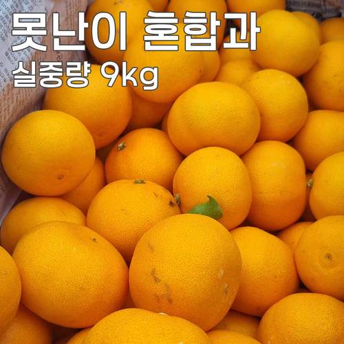 물가안정 행사 제주직송 천혜향 (못난이 혼합과) 실중량 9kg