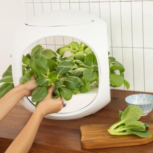 닥터플랜츠 수경식물재배기 DR-PLANTS001