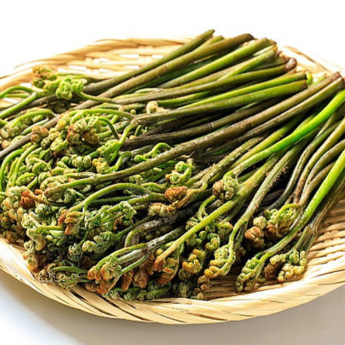국산 특품 생고사리 1kg