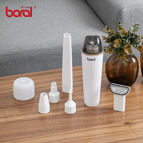 보랄 2in1 블로잉 무선 핸디청소기 BR-VC100
