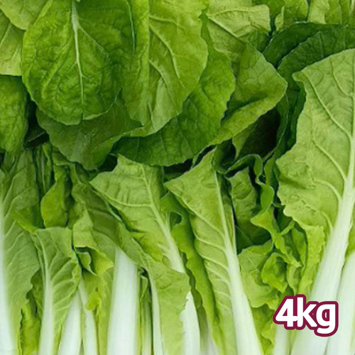 손질한 국산 얼갈이 배추 특품 4kg 내외