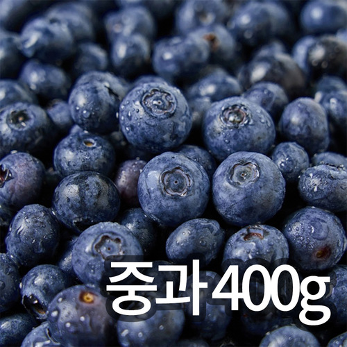 [청년과수원] 국내산 햇 블루베리 중과 400g