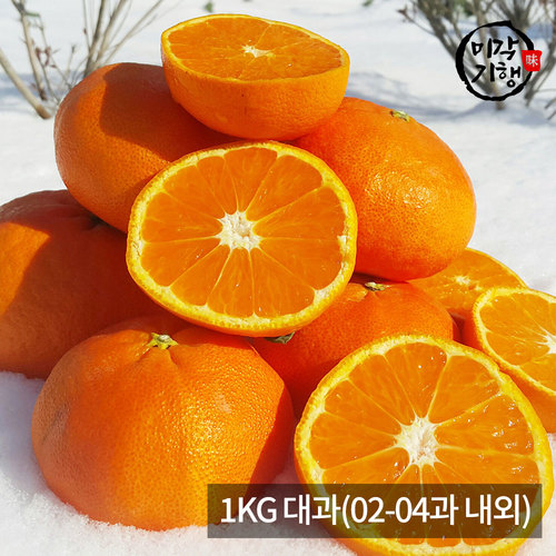[미각기행] 제주 레드향 가정용 1KG 대과(02-04과 내외)