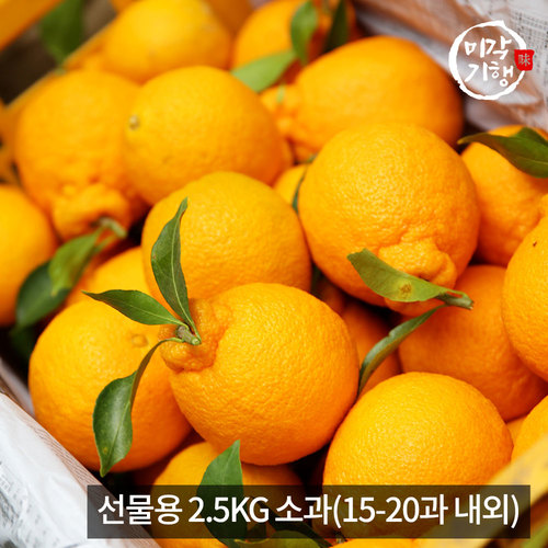 [미각기행] 제주 한라봉 선물용 2.5KG 소과(15-20과 내외)