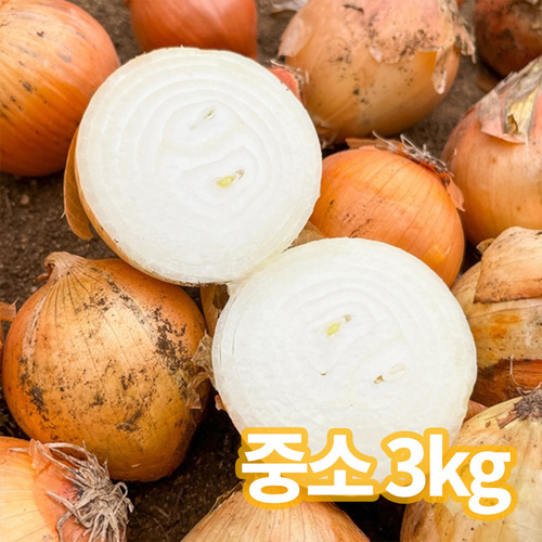 청년농가 고품질 국내산 양파 3kg 중소