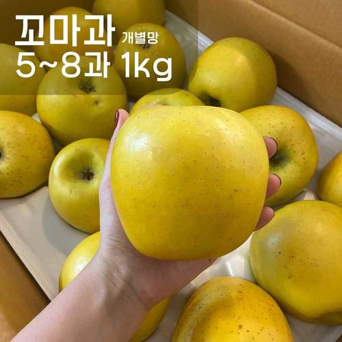 산지직송! 시나노골드 황금사과 꼬마과 5-8과 1kg / 개별망