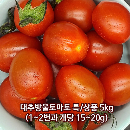 대추방울토마토 5kg(1~2번과)