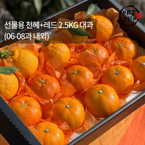 [미각기행] 제주 선물용 천혜+레드 2.5KG 대과(06-08과 내외)