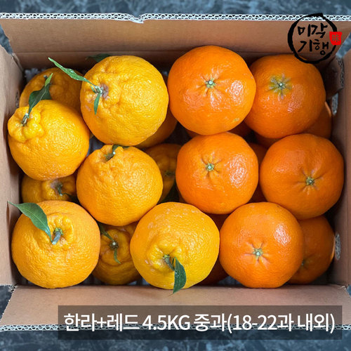 [미각기행] 제주 가정용 한라+레드 4.5KG 중과(18-22과 내외)