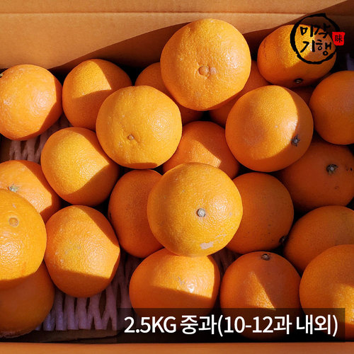 [미각기행] 제주 레드향 가정용 2.5KG 중과(10-12과 내외)