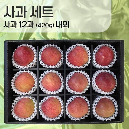 [선물세트] 사과 12과 420g내외