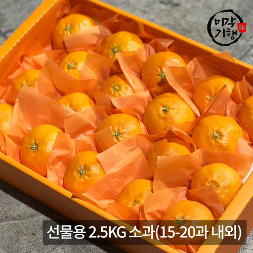[미각기행] 제주 레드향 선물용 2.5KG 소과(15-20과 내외)
