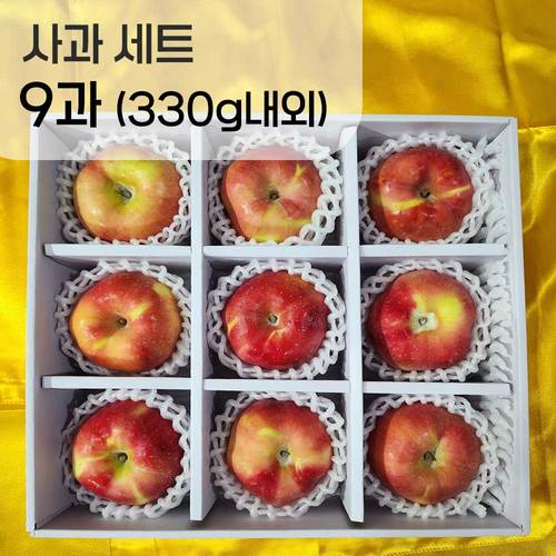 [선물세트] 사과 9과 330g내외