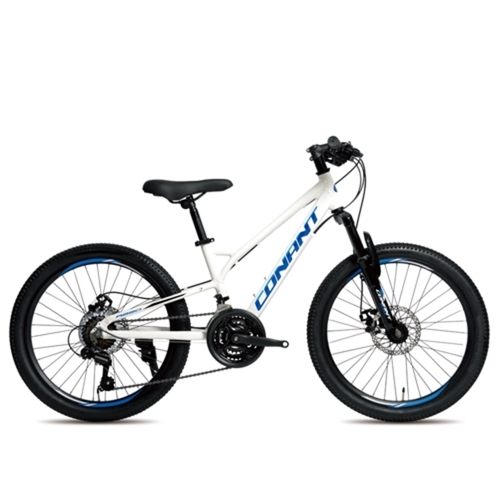 2025 지오닉스 MTB 코난트 A22D 21단 22인치