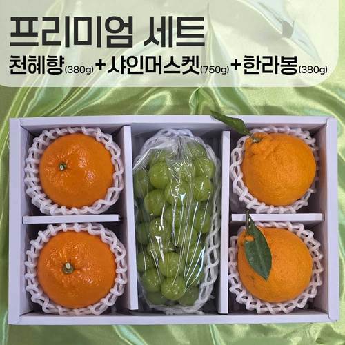 [선물세트] 한라봉 380g내외 2과 + 샤인머스킷 750g내외 1수 + 천혜향 380g내외 2과