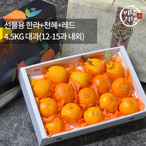 [미각기행] 제주 선물용 한라+천혜+레드 4.5KG 대과(12-15과 내외)