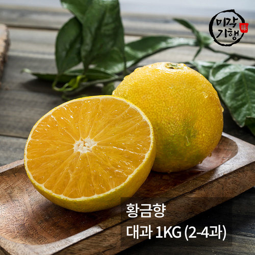 [미각기행] 제주 황금향 대과 1KG (2-4과)