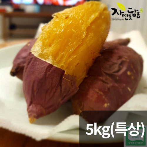 자연을담음 해남 호박고구마 5kg 특상/ 산지직송