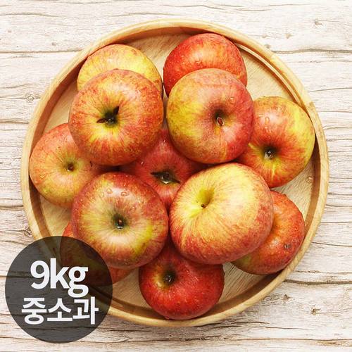 달옥농산 부사(가정용) 사과 9kg 중소과 (43~55과)