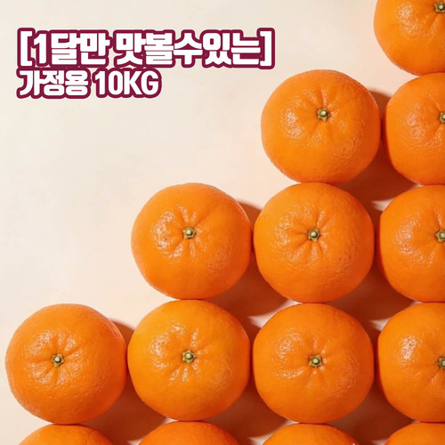 [1달만 맛볼수있는] 제주오렌지 청견 실속 가정용 10kg 혼합과