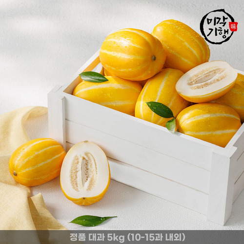 [미각기행] 성주 고당도 꿀참외 정품 대과 5kg (10-15과 내외)