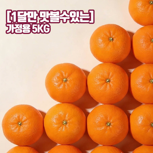 [1달만 맛볼수있는] 제주오렌지 청견 실속 가정용 5kg 혼합과