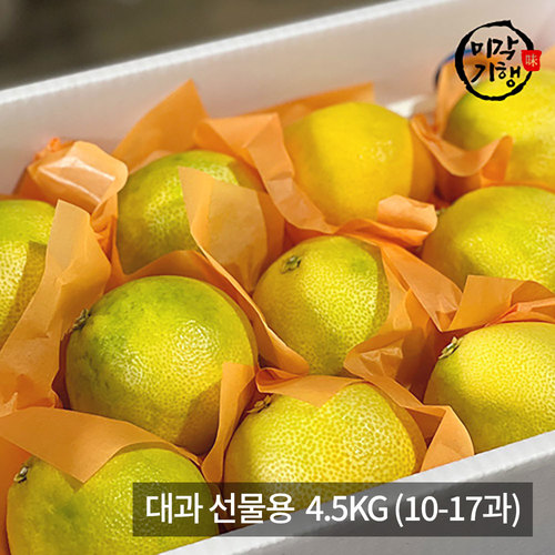 [미각기행] 제주 황금향 대과 선물용 4.5KG (10-17과)
