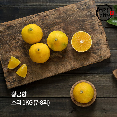 [[미각기행]] 제주 황금향 소과 1KG (7-8과)