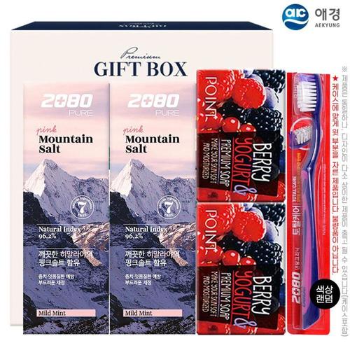 애경 2080히말라야핑크솔트치약100g2P 포인트베리비누2P 2080토탈케어칫솔(5종)