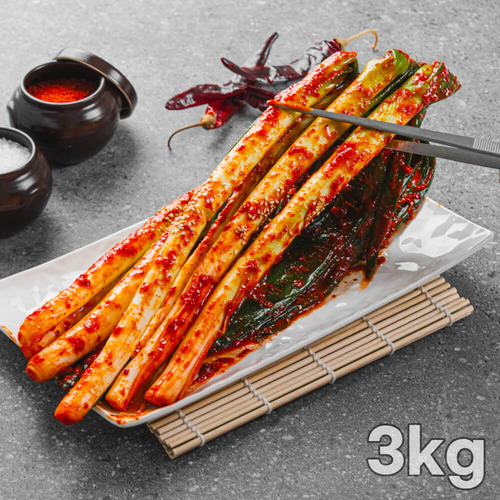 국내산 대파 100% 중독되는 매콤달달 별미 대파김치 3kg