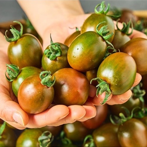 [청년농가] 부산 산지직송 흑대추방울토마토 1kg