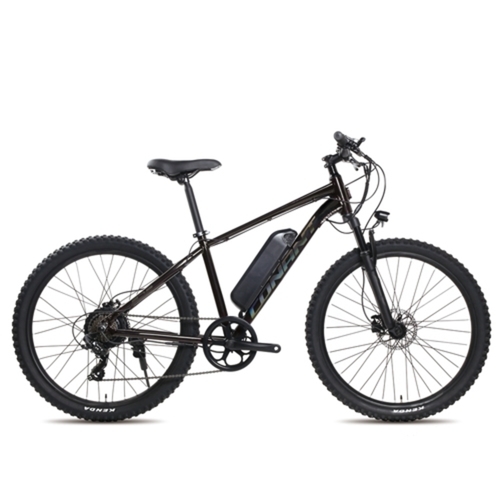 2025 지오닉스 E-BIKE 이브이-27.5 플러스 7단 27.5인치(배터리 별도)