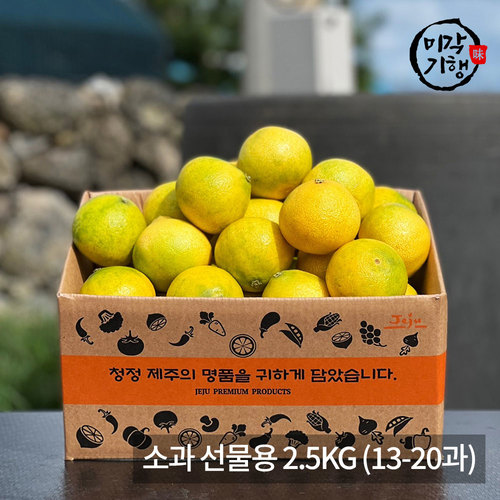 [미각기행] 제주 황금향 소과 선물용 2.5KG (13-20과)