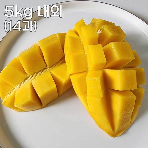 항공직송 프리미엄 태국 망고 (남독마이) 5kg내외 (14과)