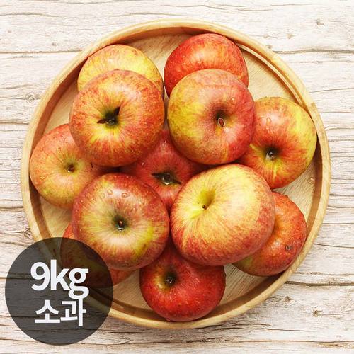 달옥농산 부사(가정용) 사과 9kg 소과 (56~75과)