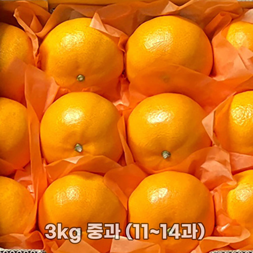 제주직송 천혜향 실중량 2.5kg (선물세트 부직포가방) 중과 (11~14과)